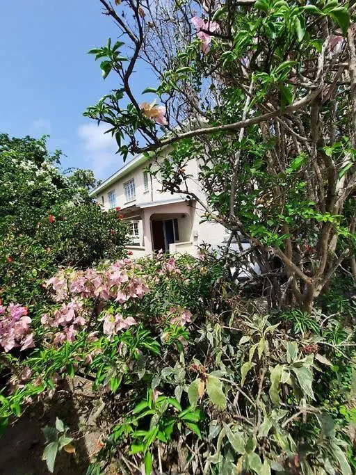 Southlands Maxwell Main Road Nearby Maxwell Beach Christ Church Apartment